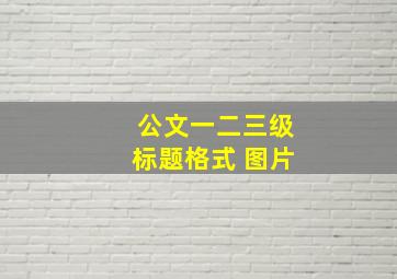 公文一二三级标题格式 图片